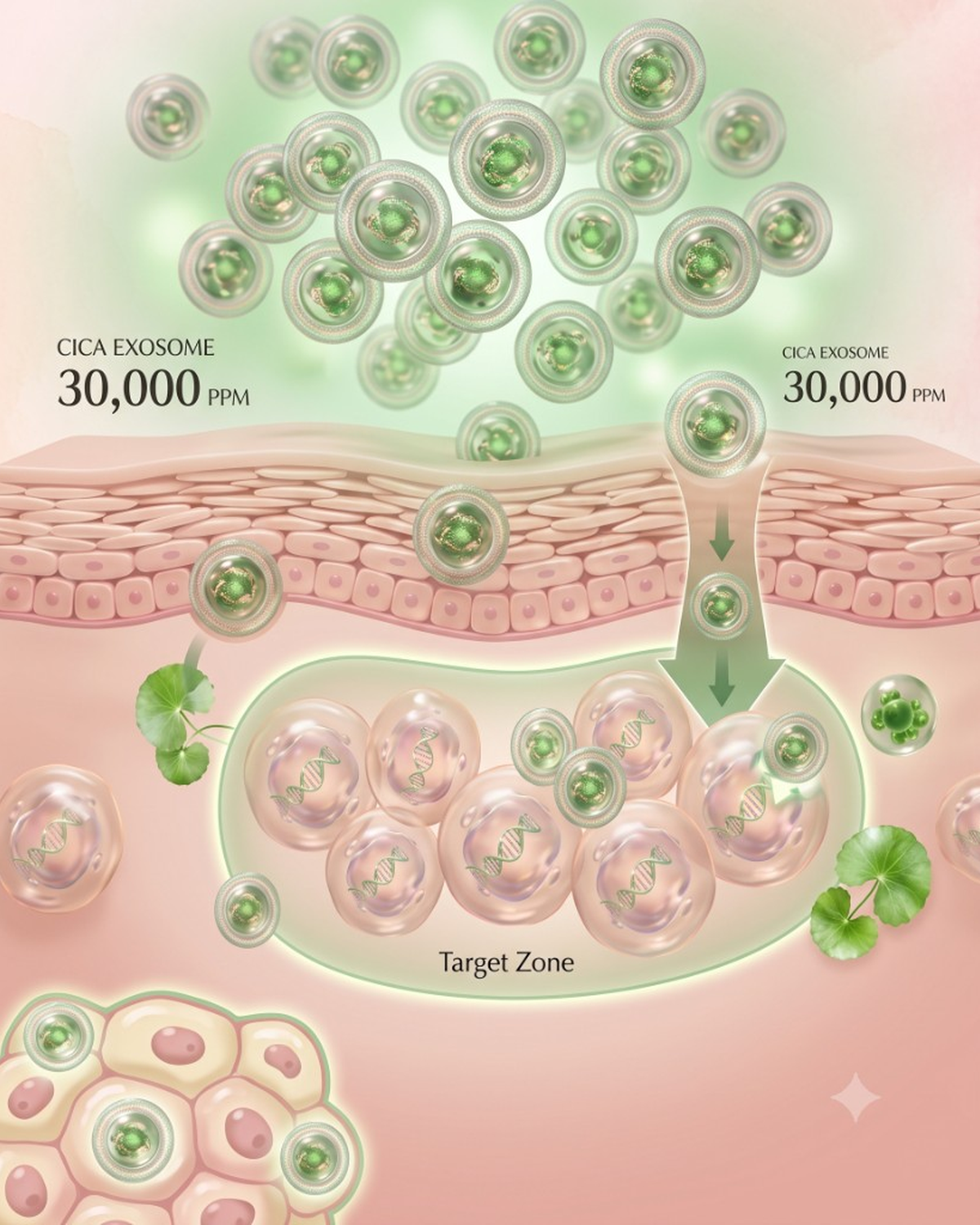 시카 엑소좀 30,000 PPM 바이오 딜리버리 비주얼